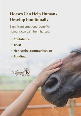 do horses like to be pet: Exploring the Intricacies of Horse-Human Interaction and Affection