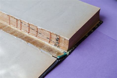 How to Repair a Book Spine: A Delve into the Artistry of Book Preservation and Unexpected Creative Insights